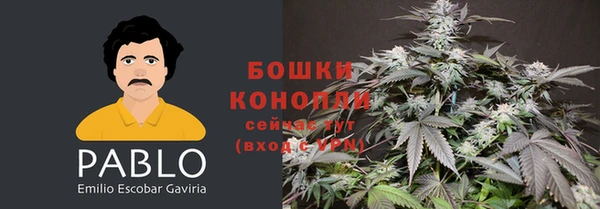 MDMA Медвежьегорск