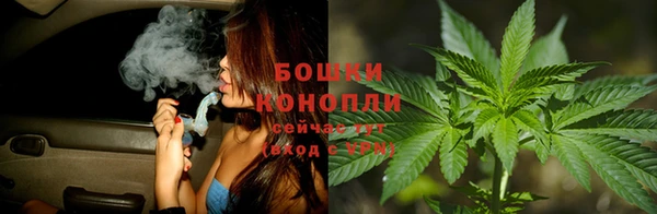 мдпв Медногорск